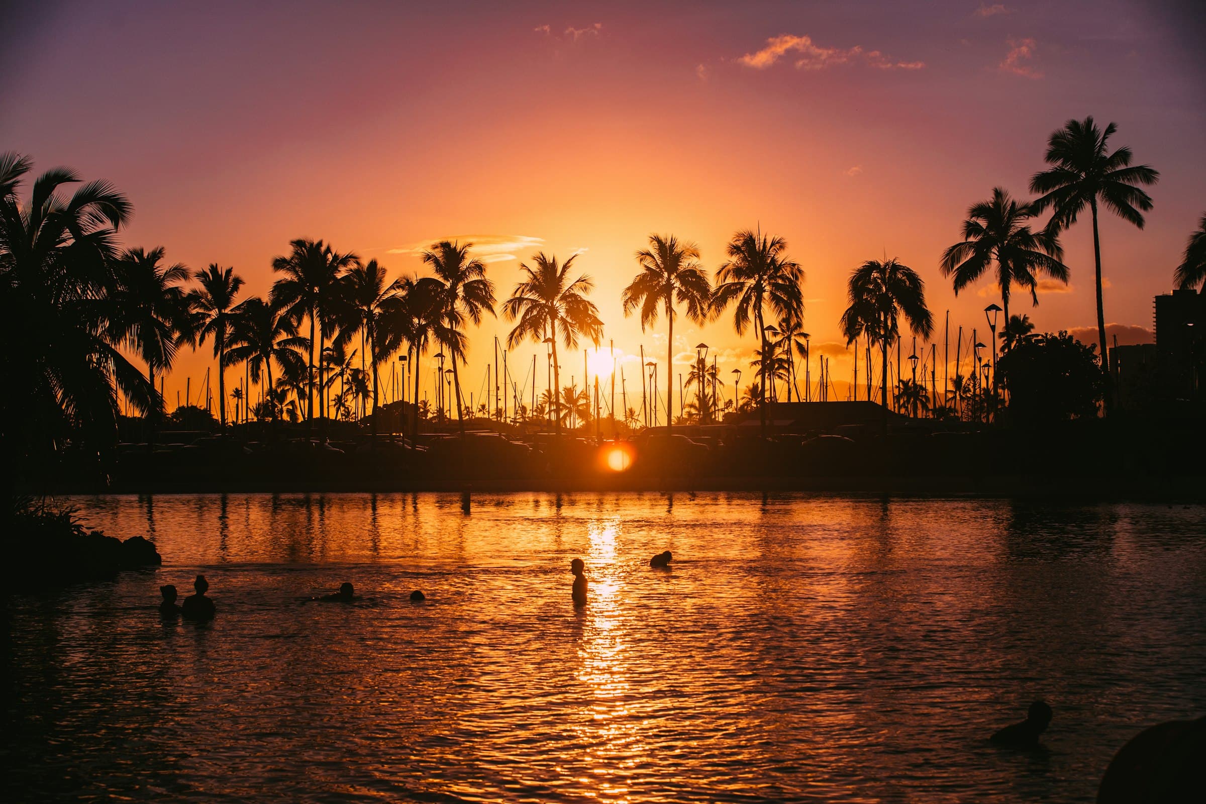 Palm trees silhouetted against a sunset over the water on Oʻahu